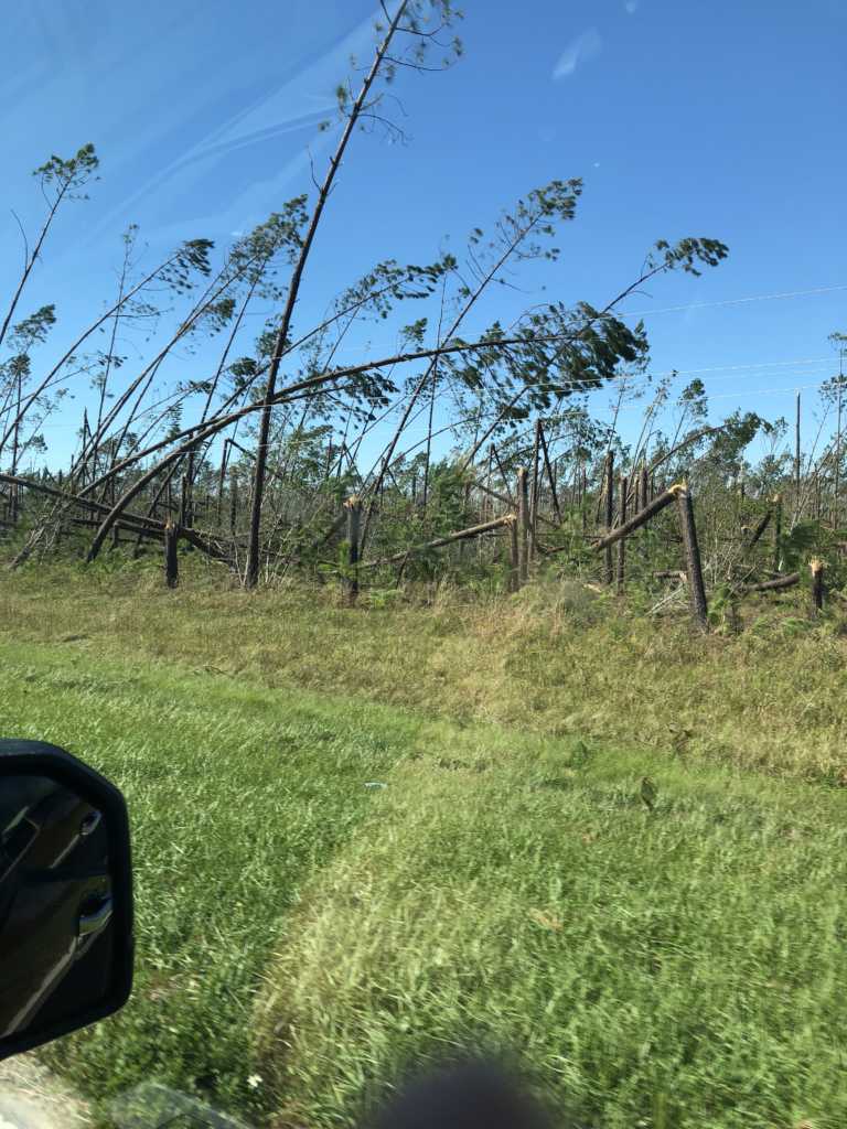 After Hurricane Michael