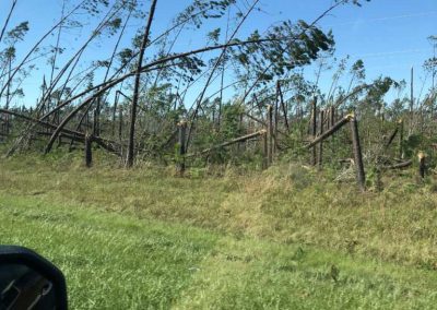 After Hurricane Michael